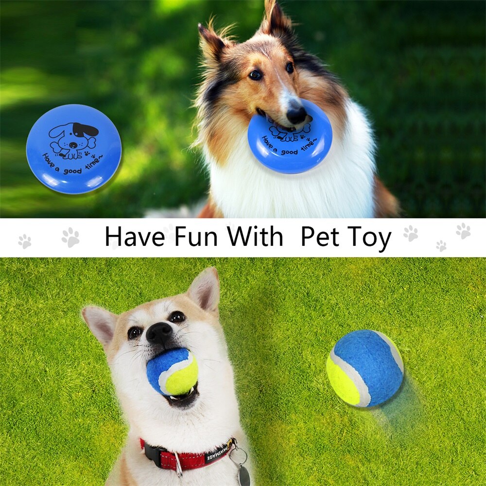 Pet Toys and Feeding Supplies 6pcs Set