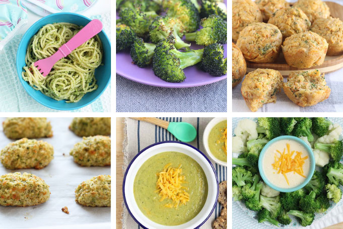 20 Healthy Broccoli Recipes (Kids Will Actually Want to Eat!)