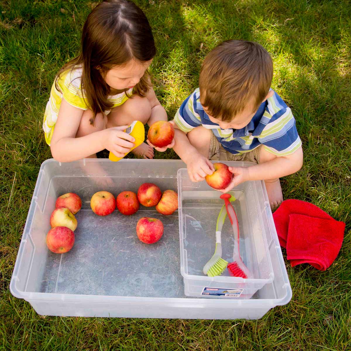 Two toddlers sit at a sensory bin holding apples. They are washing the apples with water, sponges, and soft brushes.